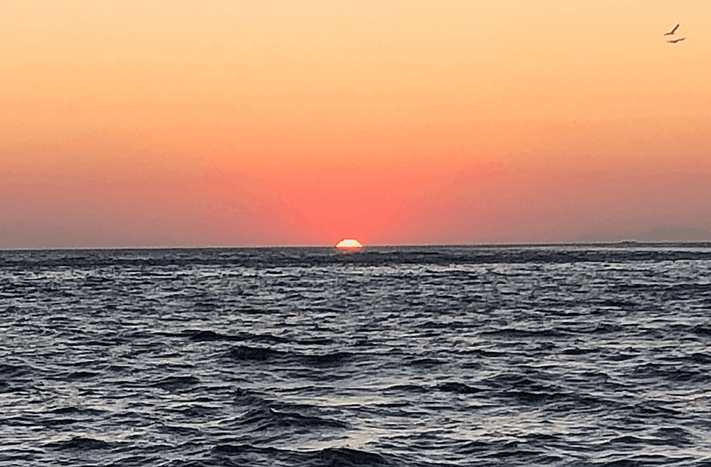 Oya sunset with birds